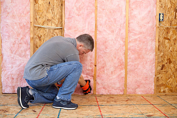 Types of Insulation We Offer in Mesa Del Caballo, AZ